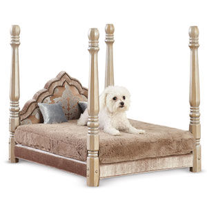 Animal Fancy: East Bay Pet Products